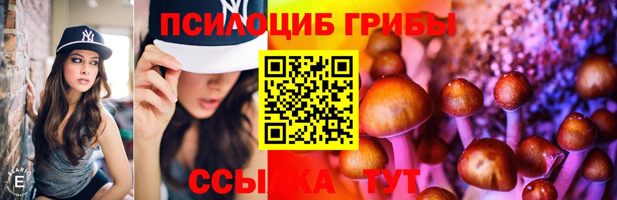 Зеленодольск  купить закладку  Галлюциногенные грибы Cubensis  Вход с VPN  Галлюциногенные грибы ЛСД 